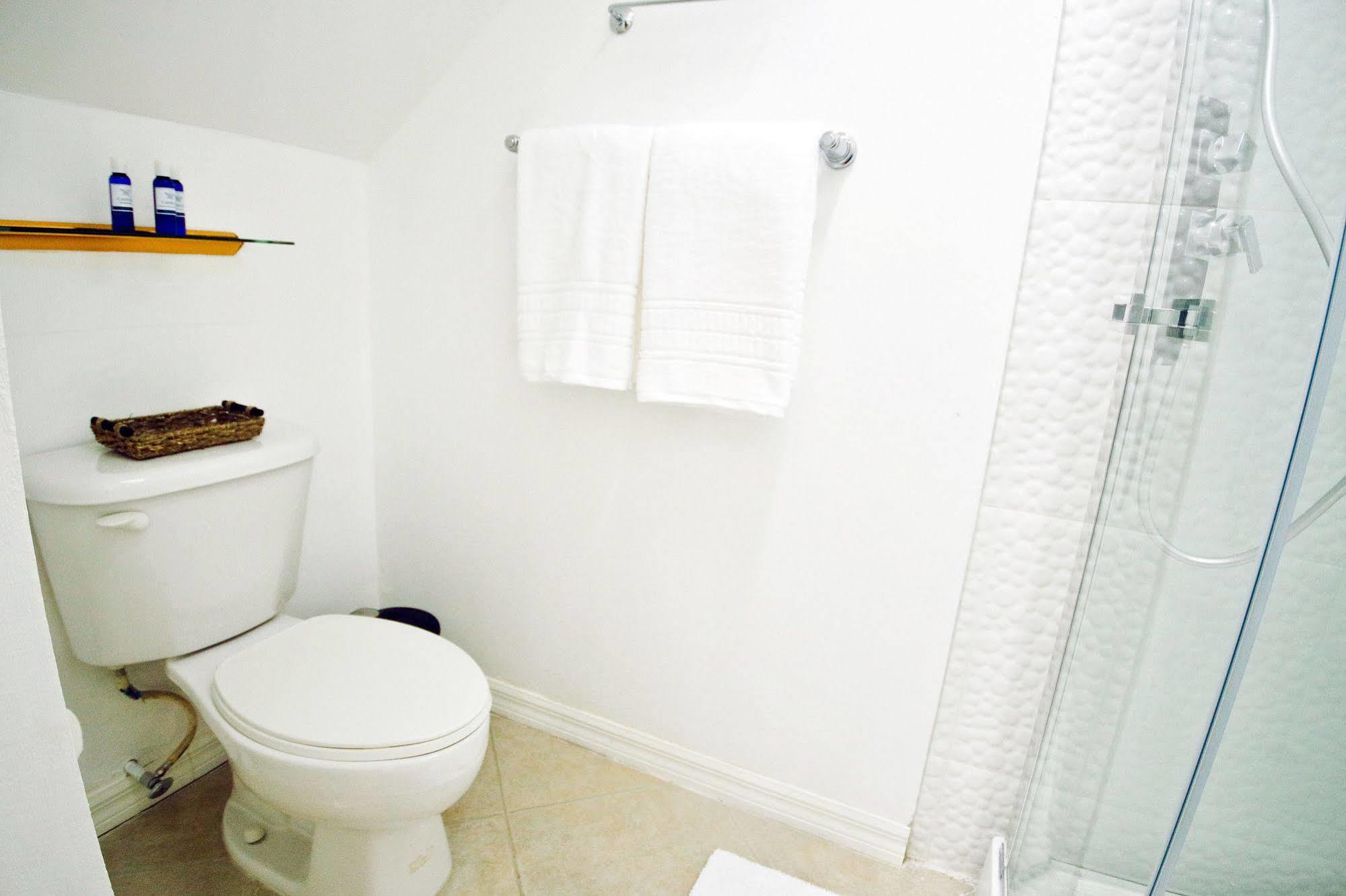 Cattleya Luxury Suites Kingston Eksteriør bilde