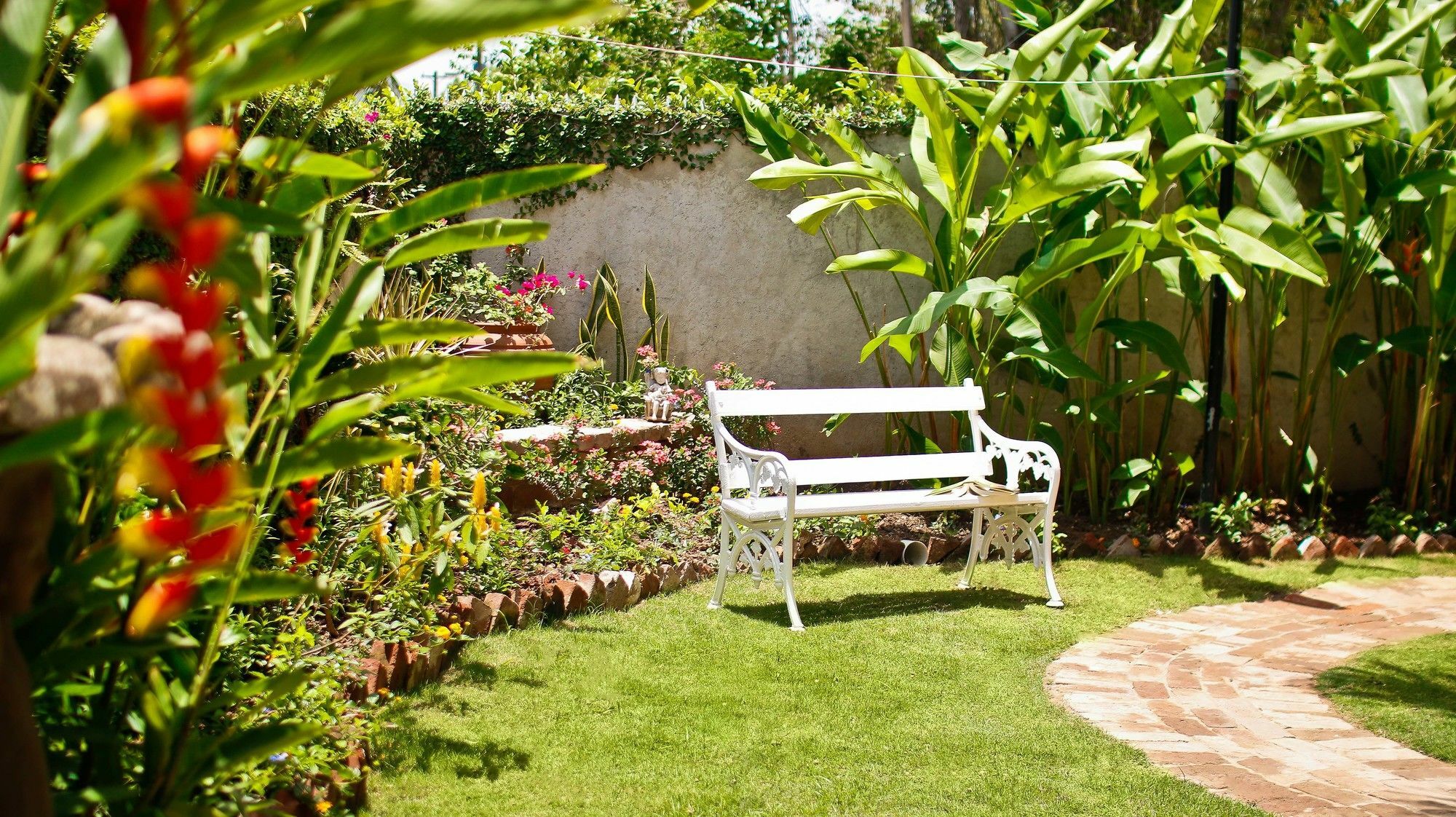 Cattleya Luxury Suites Kingston Eksteriør bilde