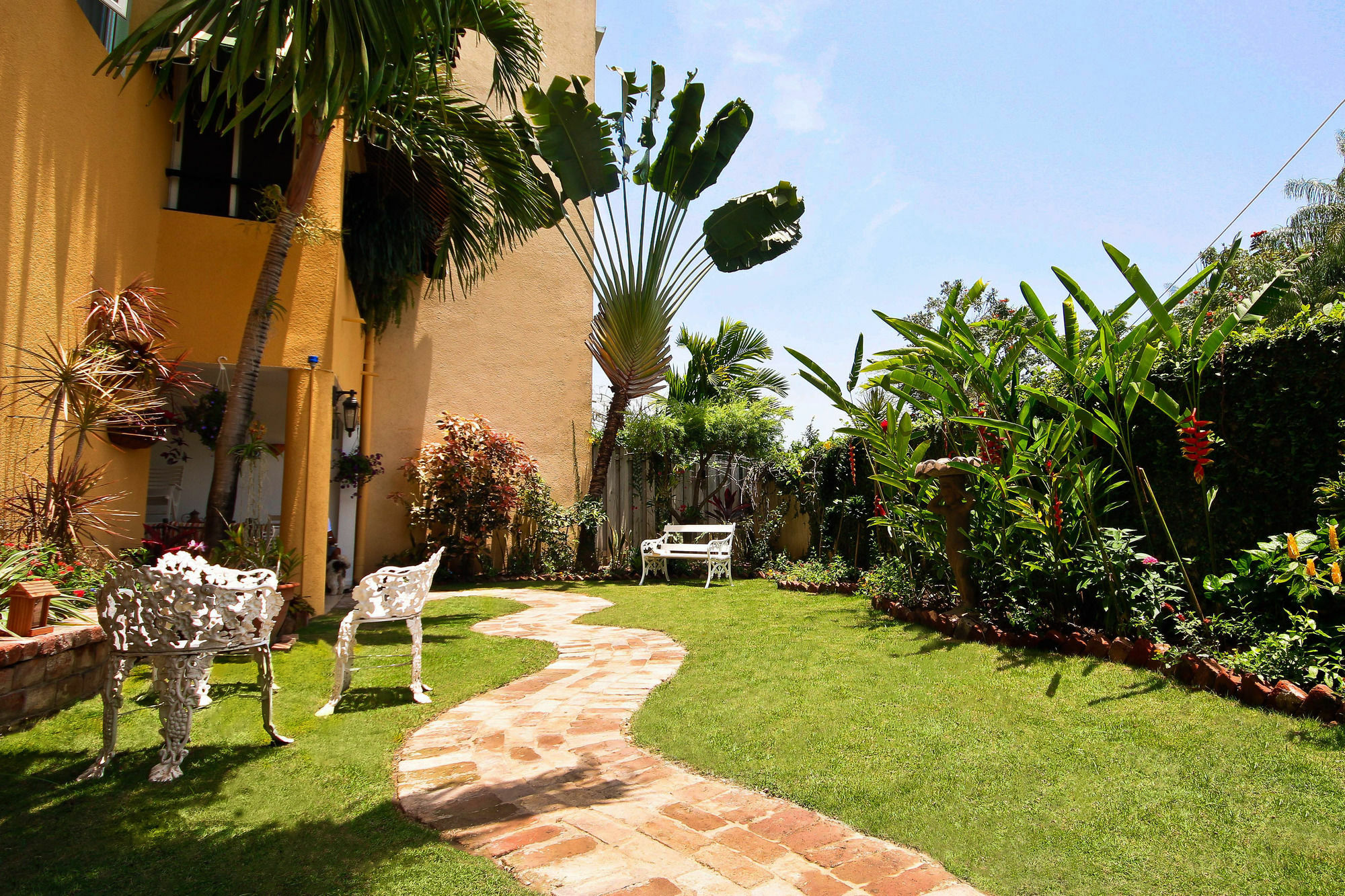 Cattleya Luxury Suites Kingston Eksteriør bilde